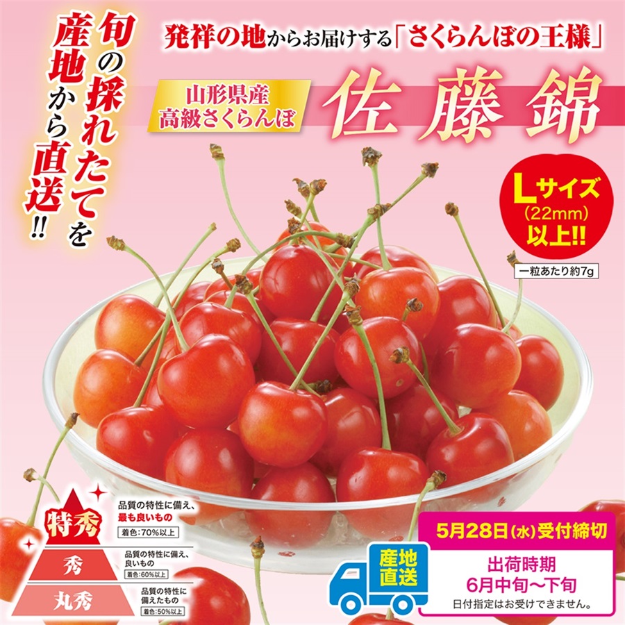 【2504-021/2504-022】山形県産 高級さくらんぼ「佐藤錦」（バラ詰）（発送目安：6月中旬～下旬）