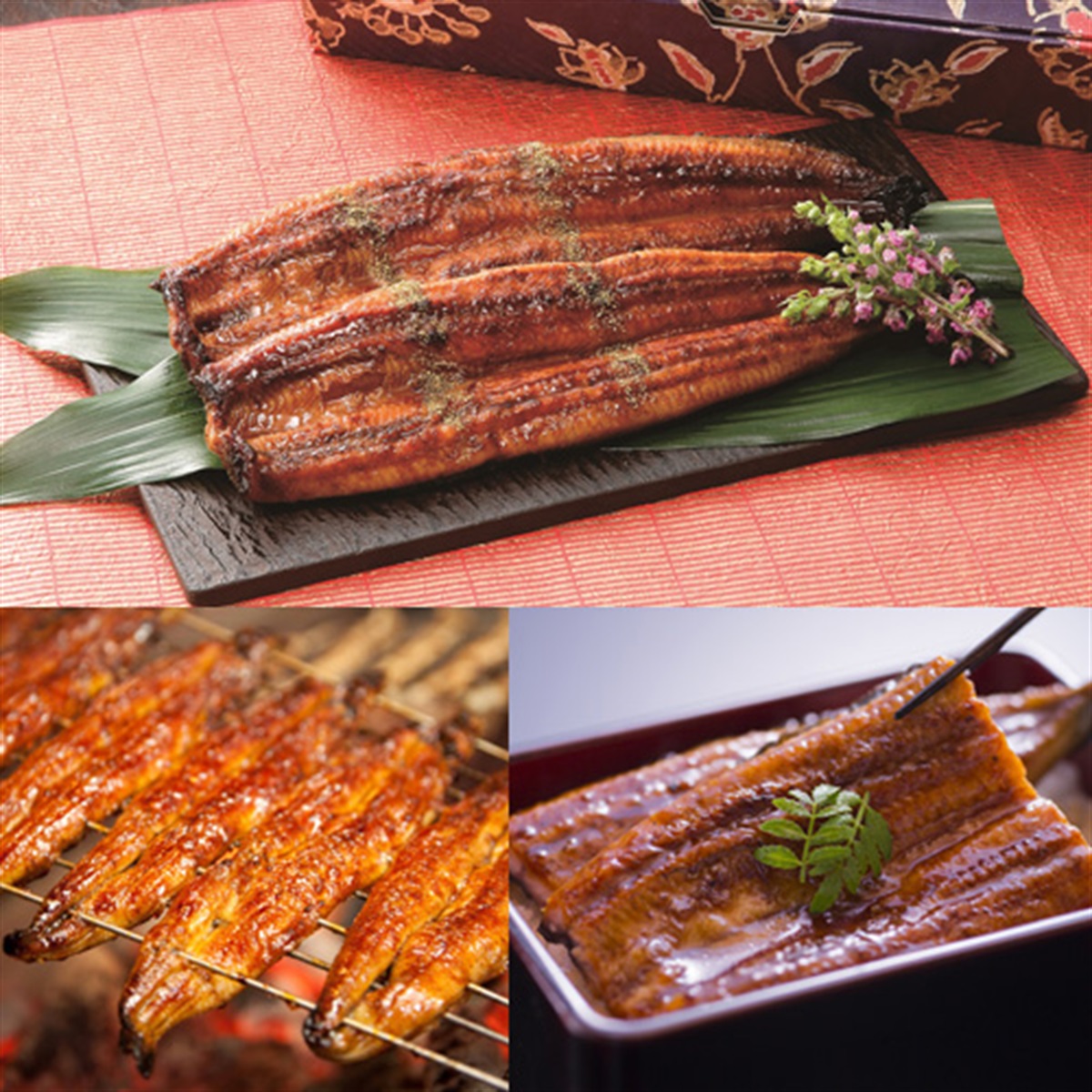 鰻楽　国産うなぎ蒲焼　長焼　2尾セット(計280g)