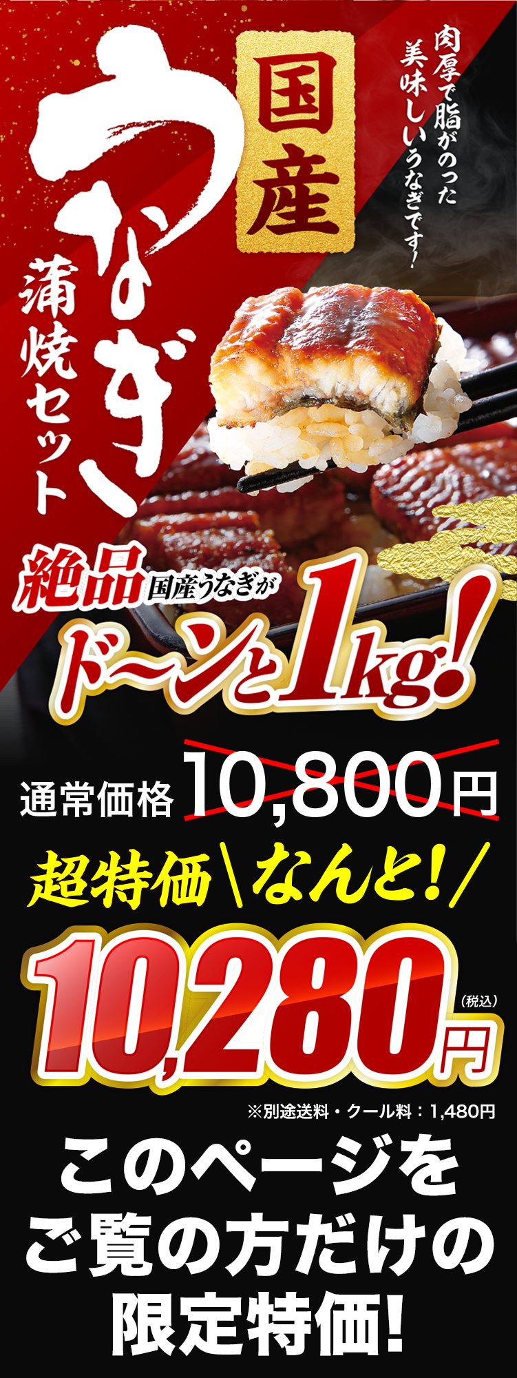 4月28日（月）は土曜丑の日　国産うなぎ蒲焼セット　1kg 10,000円